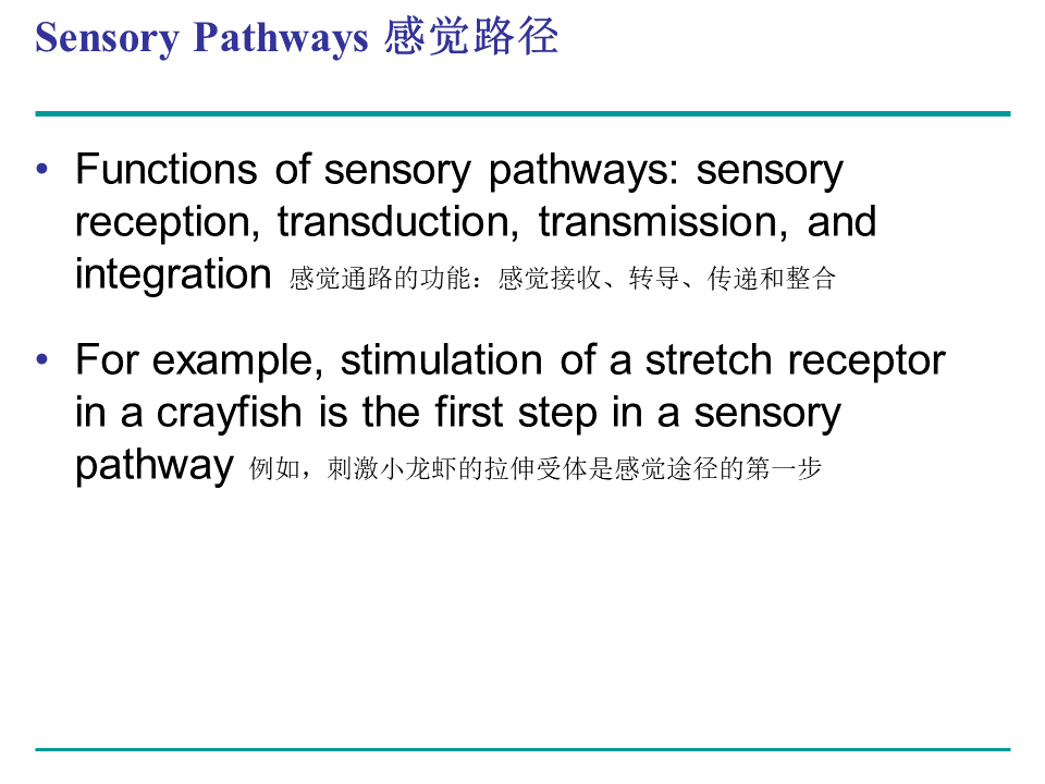 Campbell Biology 坎贝尔生物学应该怎样学习735 / 作者:叶小琛小m / 帖子ID:105268