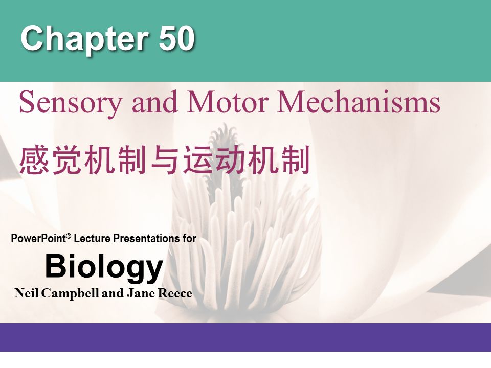 Campbell Biology 坎贝尔生物学应该怎样学习844 / 作者:叶小琛小m / 帖子ID:105268