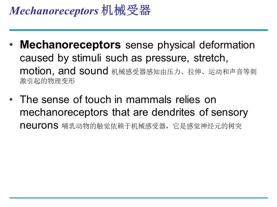 Campbell Biology 坎贝尔生物学应该怎样学习201 / 作者:叶小琛小m / 帖子ID:105268
