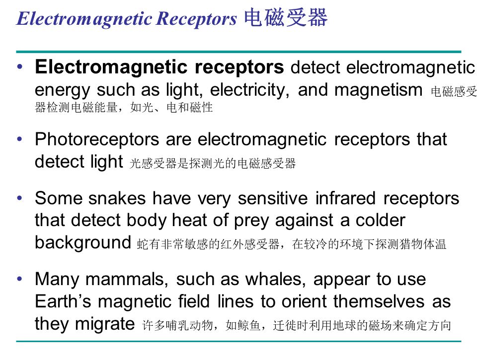 Campbell Biology 坎贝尔生物学应该怎样学习274 / 作者:叶小琛小m / 帖子ID:105268