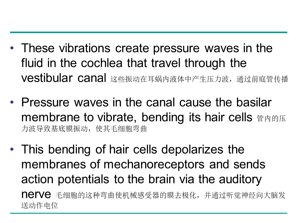 Campbell Biology 坎贝尔生物学应该怎样学习953 / 作者:叶小琛小m / 帖子ID:105268