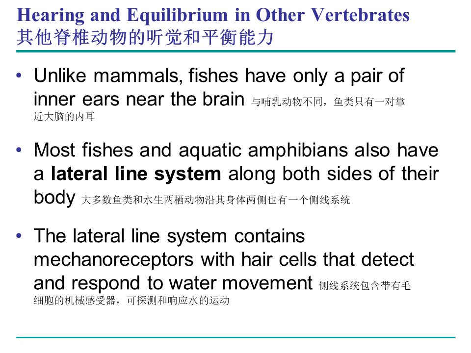 Campbell Biology 坎贝尔生物学应该怎样学习161 / 作者:叶小琛小m / 帖子ID:105268