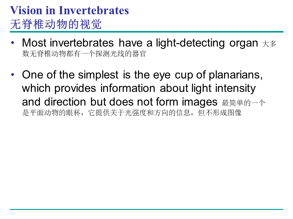 Campbell Biology 坎贝尔生物学应该怎样学习236 / 作者:叶小琛小m / 帖子ID:105268