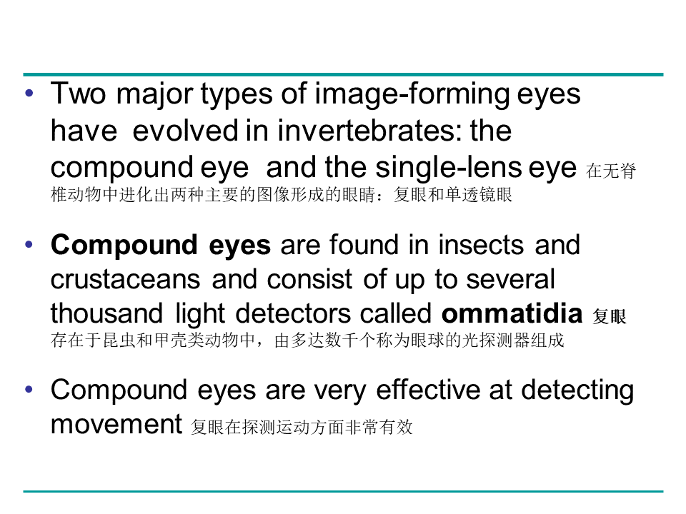 Campbell Biology 坎贝尔生物学应该怎样学习18 / 作者:叶小琛小m / 帖子ID:105268