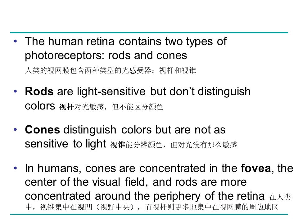 Campbell Biology 坎贝尔生物学应该怎样学习490 / 作者:叶小琛小m / 帖子ID:105268
