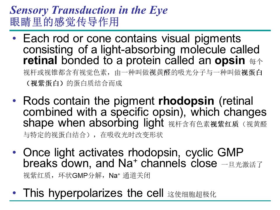 Campbell Biology 坎贝尔生物学应该怎样学习958 / 作者:叶小琛小m / 帖子ID:105268