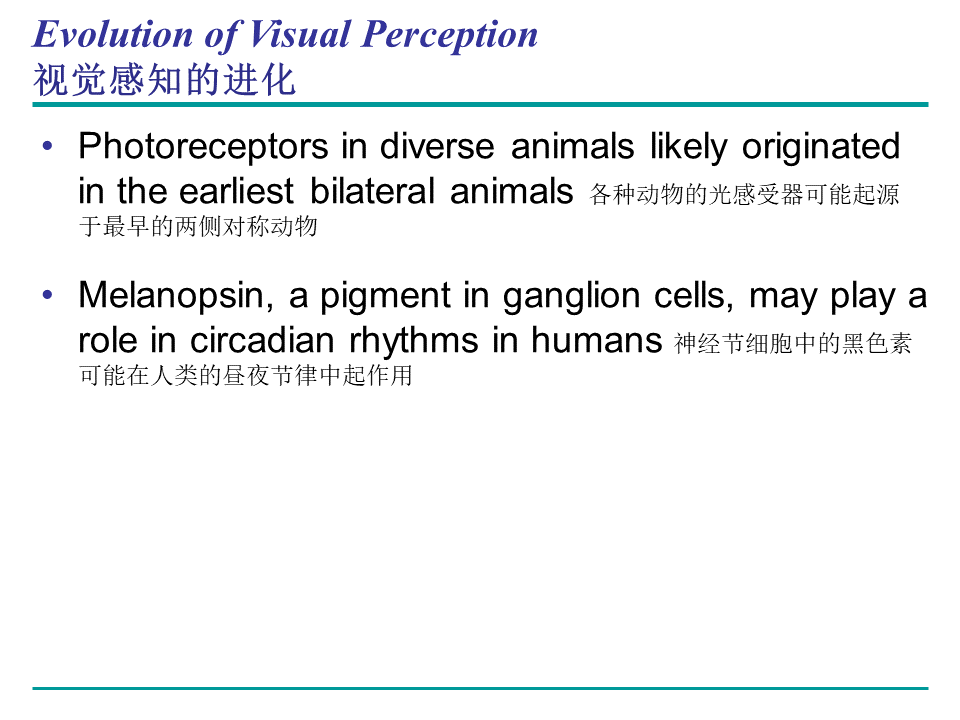 Campbell Biology 坎贝尔生物学应该怎样学习81 / 作者:叶小琛小m / 帖子ID:105268