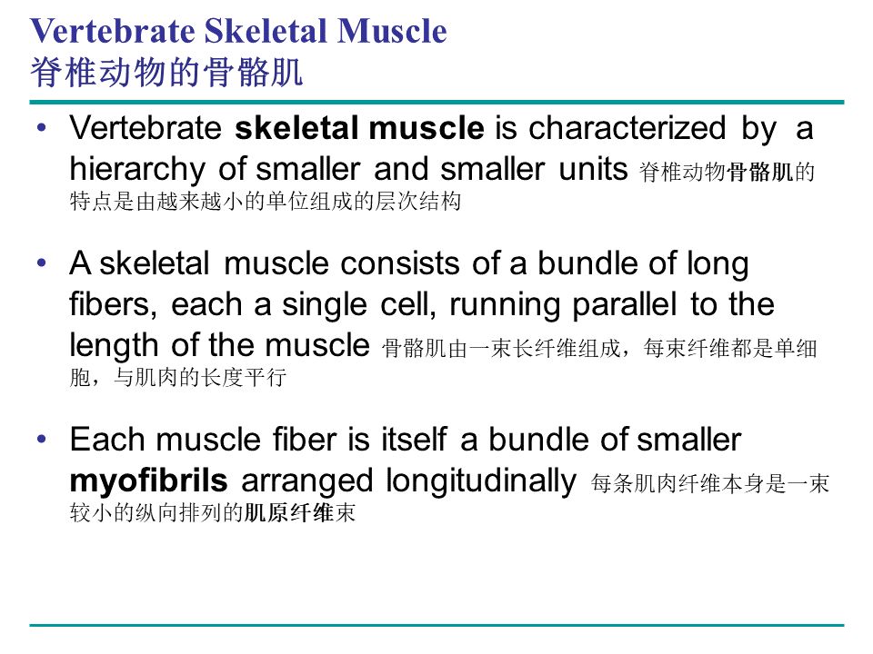 Campbell Biology 坎贝尔生物学应该怎样学习703 / 作者:叶小琛小m / 帖子ID:105268