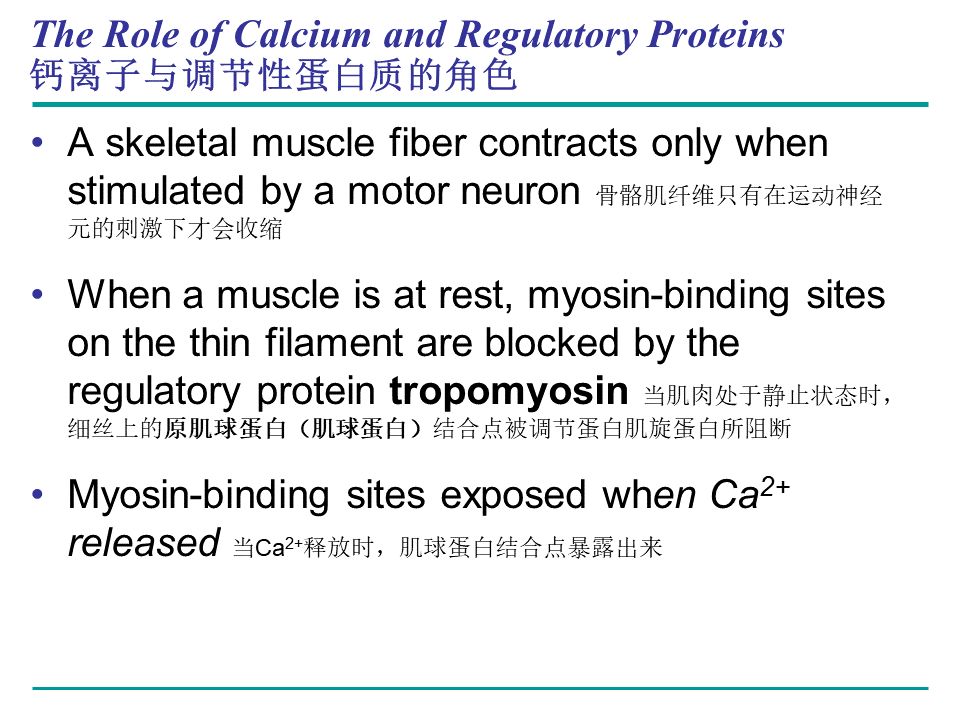 Campbell Biology 坎贝尔生物学应该怎样学习232 / 作者:叶小琛小m / 帖子ID:105268