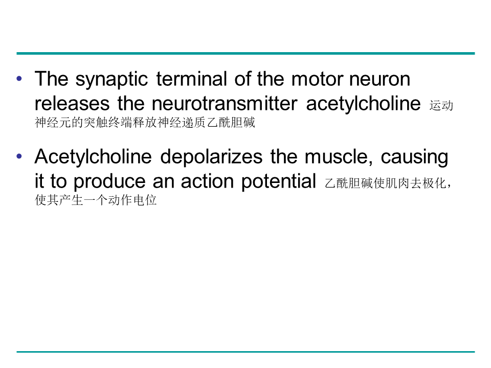 Campbell Biology 坎贝尔生物学应该怎样学习836 / 作者:叶小琛小m / 帖子ID:105268
