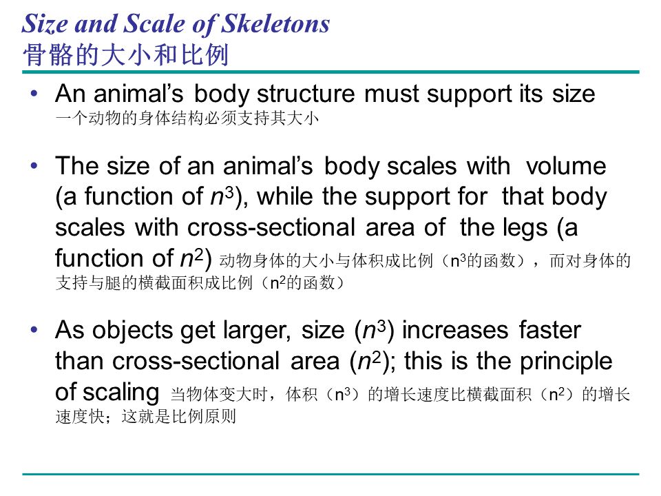 Campbell Biology 坎贝尔生物学应该怎样学习445 / 作者:叶小琛小m / 帖子ID:105268