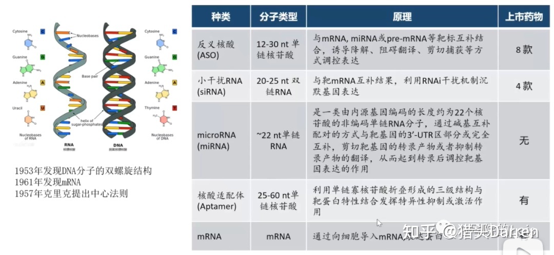 小核酸药物及递送系统梳理656 / 作者:北京愤怒羔羊猩 / 帖子ID:105285