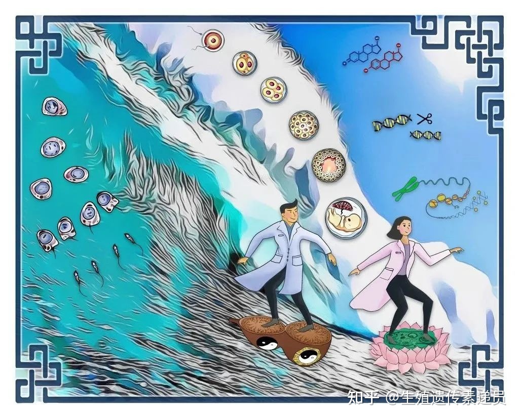 年度大咖综述带你了解“乘风破浪”的中国生殖生物学（上篇 ...745 / 作者:安桐AnnTong / 帖子ID:105286