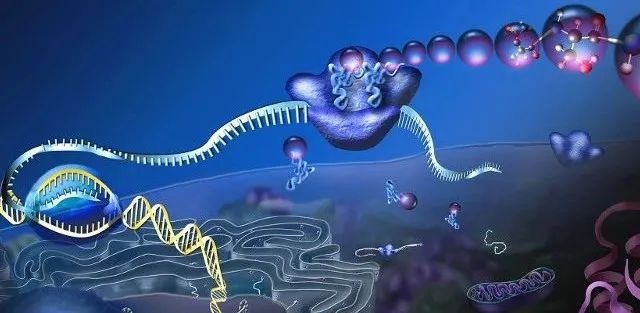 Nat Biotech | 发现单细胞组蛋白修饰之间的动态关系 ...92 / 作者:绕青柔劫 / 帖子ID:105331
