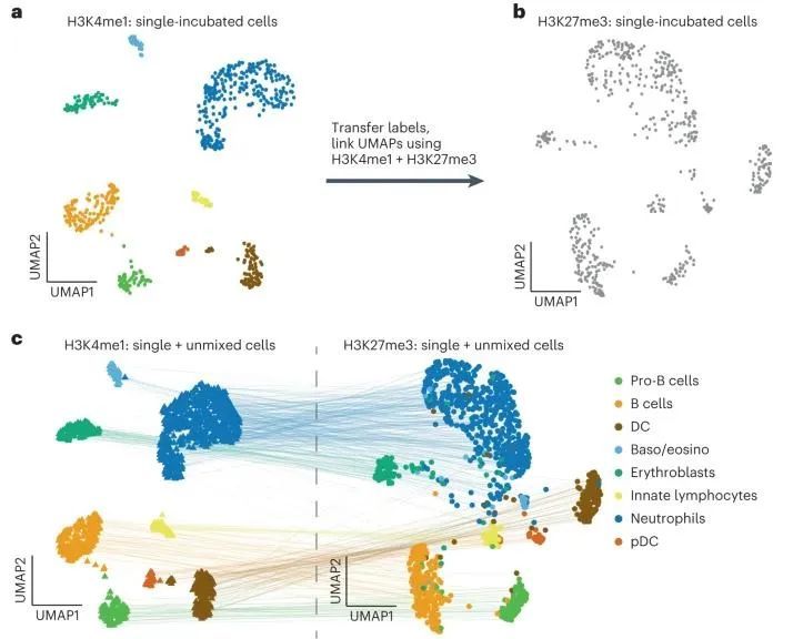 Nat Biotech | 发现单细胞组蛋白修饰之间的动态关系 ...661 / 作者:绕青柔劫 / 帖子ID:105331