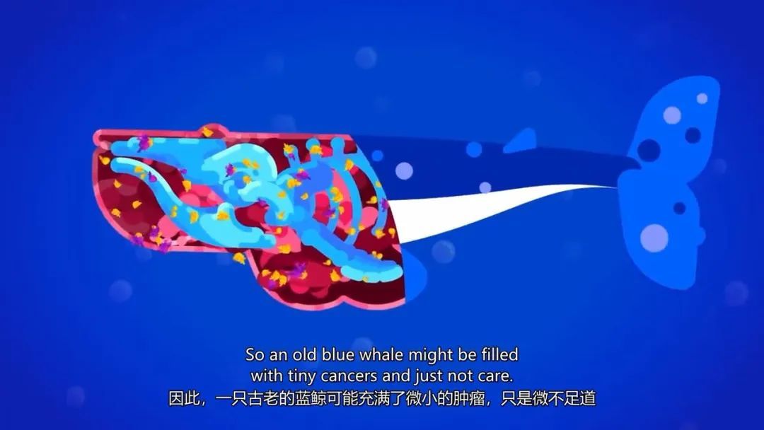 包罗最前沿科技和人文理念的科普动画《Kurzgesagt ...172 / 作者:孤客9116 / 帖子ID:105599