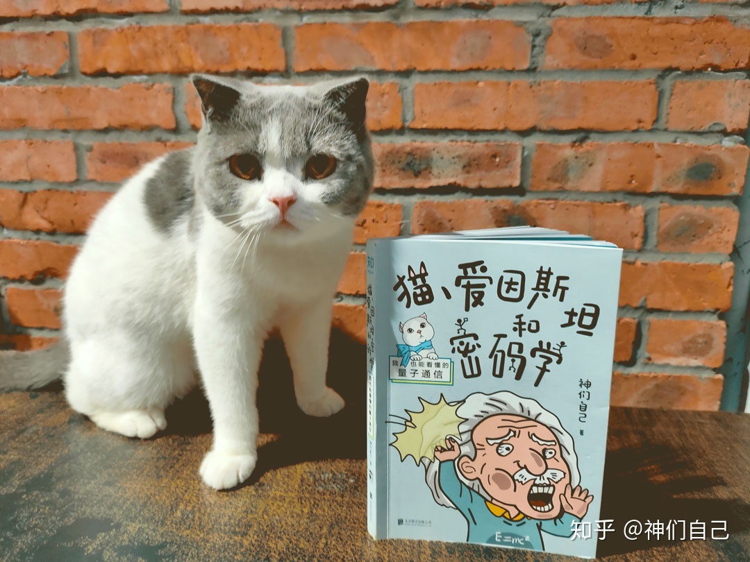 我想知道宇宙有没有可能是一个程序？284 / 作者:亲亲阳光非 / 帖子ID:105886