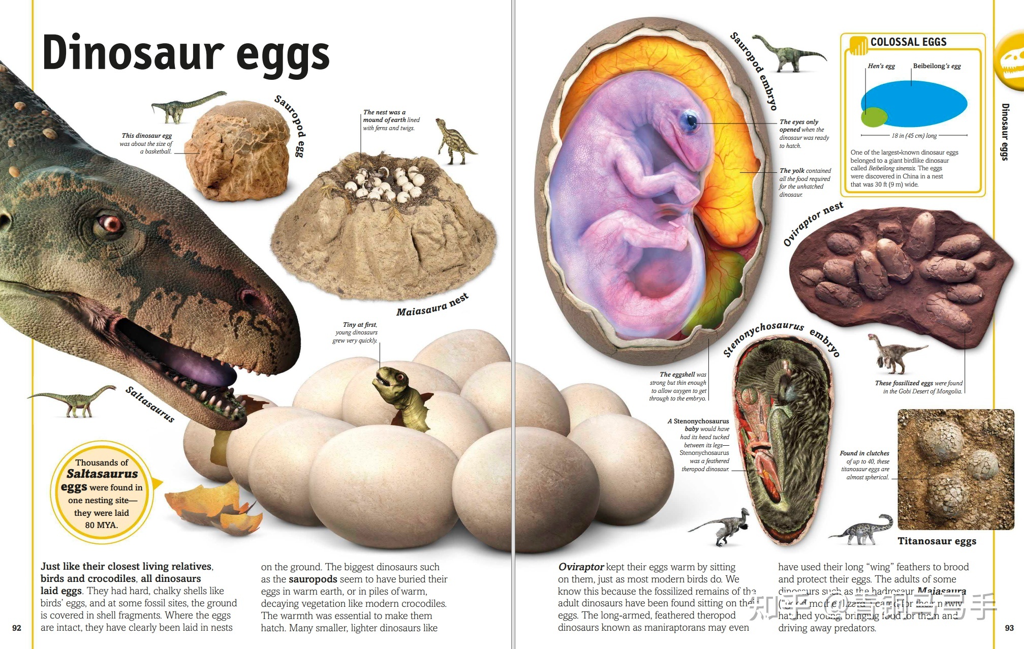 有什么好的生物科普书籍可以推荐？981 / 作者:123457660 / 帖子ID:105918