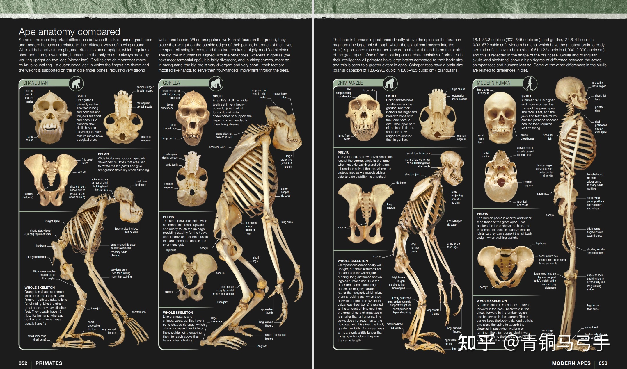 有什么好的生物科普书籍可以推荐？443 / 作者:123457660 / 帖子ID:105918