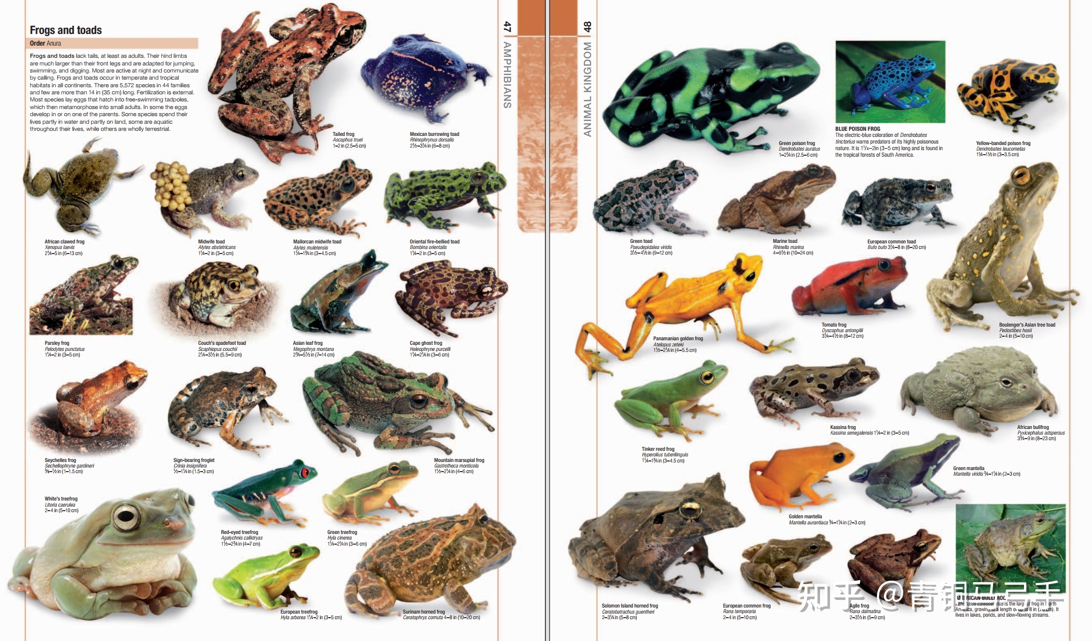 有什么好的生物科普书籍可以推荐？595 / 作者:123457660 / 帖子ID:105918
