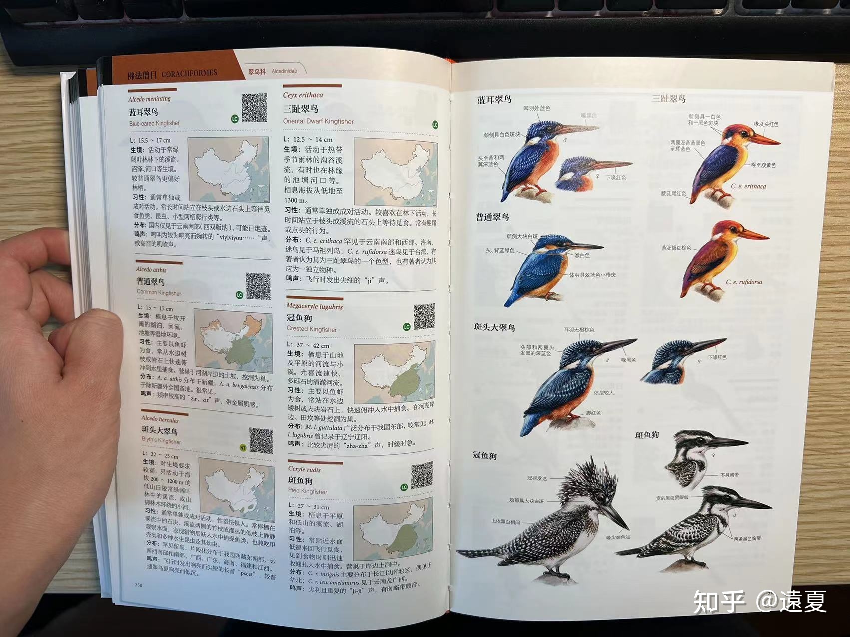 有什么好的生物科普书籍可以推荐？974 / 作者:浓茶人生 / 帖子ID:105918