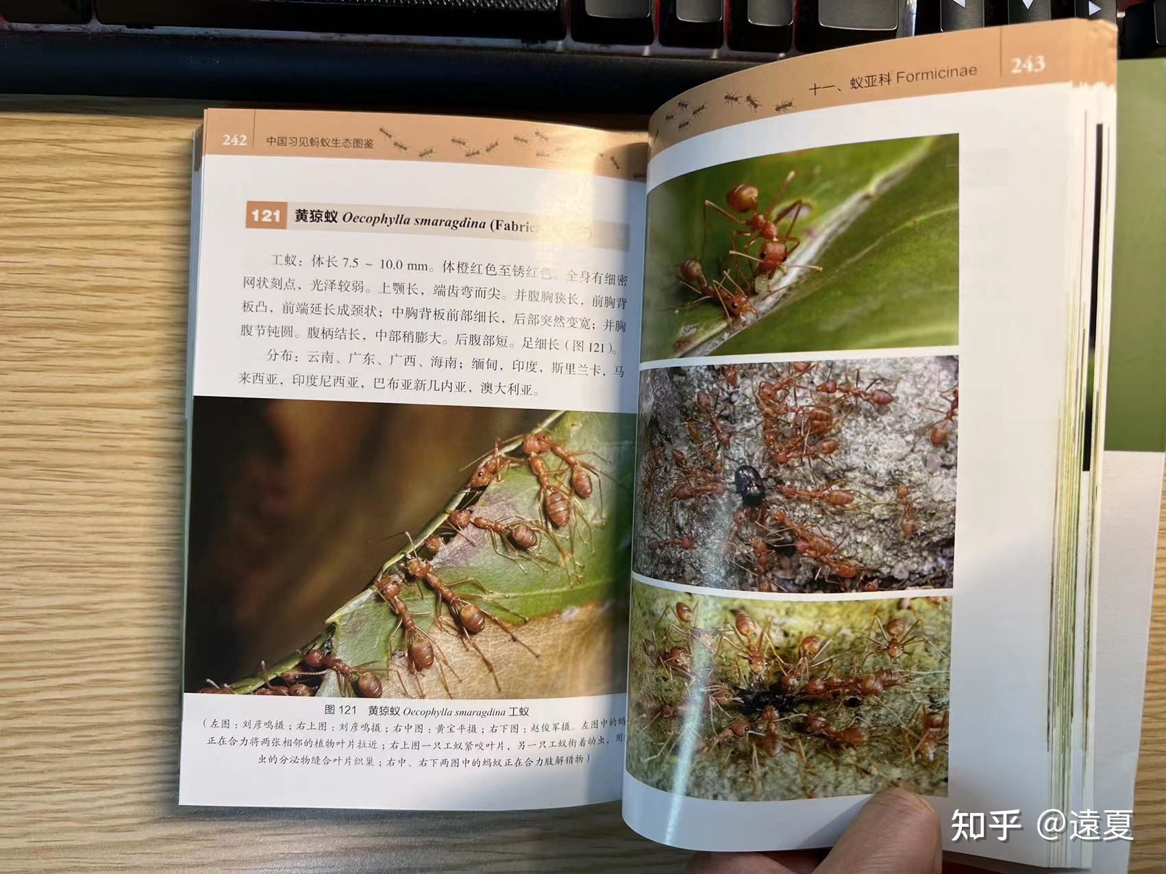 有什么好的生物科普书籍可以推荐？734 / 作者:浓茶人生 / 帖子ID:105918