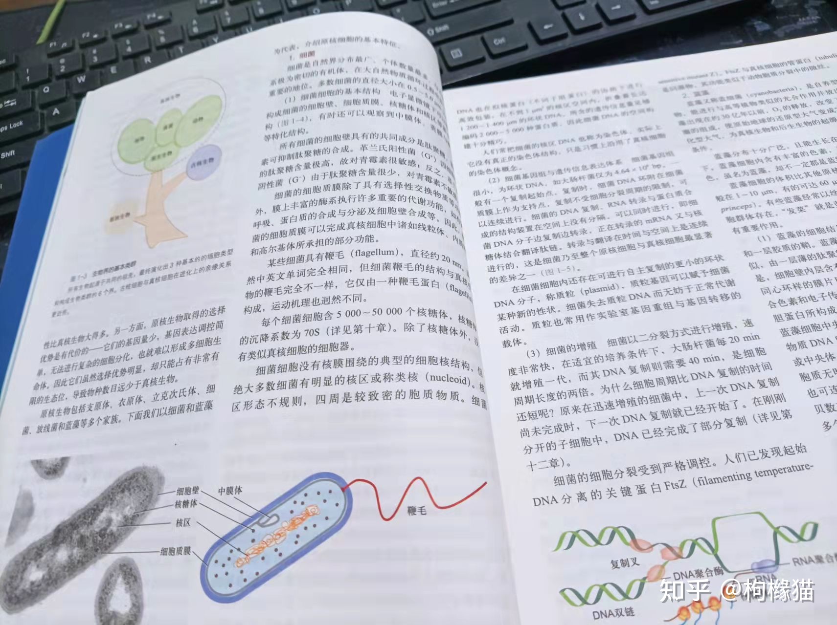 有什么好的生物科普书籍可以推荐？3 / 作者:丽人至上再 / 帖子ID:105918