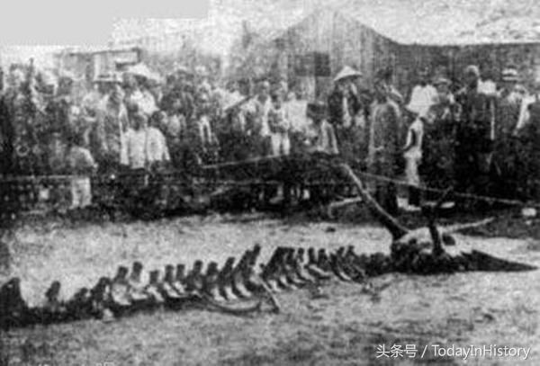 中国近代, 或者说近100年, 有哪些著名的未解之谜或是诡异事件?783 / 作者:smile929 / 帖子ID:105983