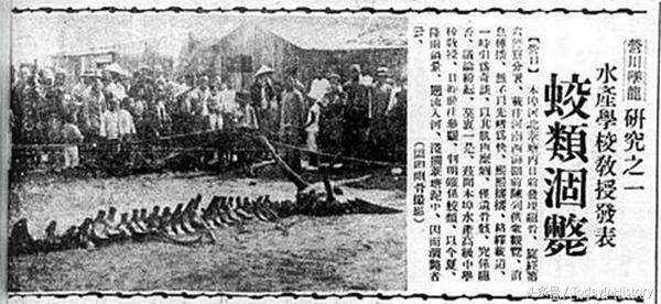 中国近代, 或者说近100年, 有哪些著名的未解之谜或是诡异事件?525 / 作者:smile929 / 帖子ID:105983