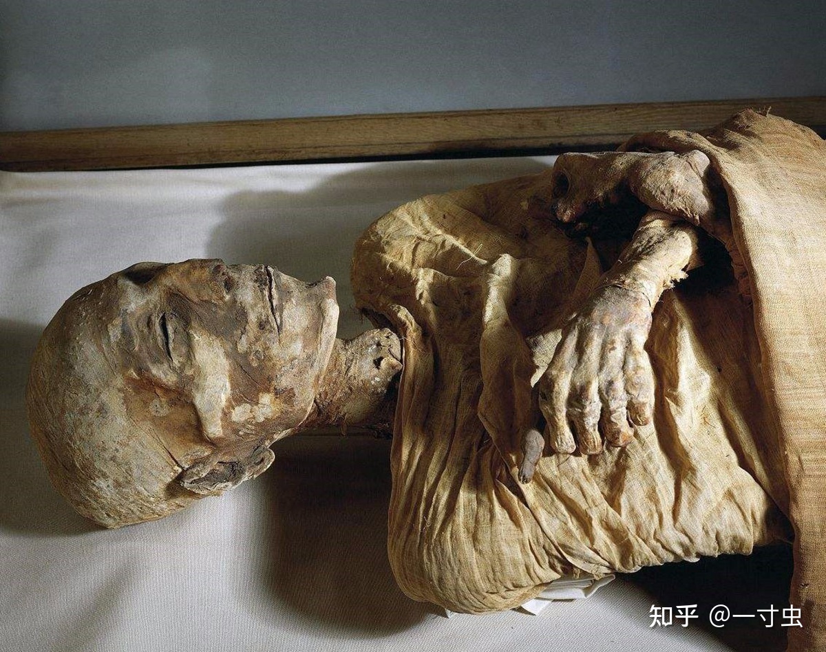 死亡狞笑之谜：3000年前，为何撒丁岛被处死的人都面带诡异 ...88 / 作者:leefengme / 帖子ID:105988