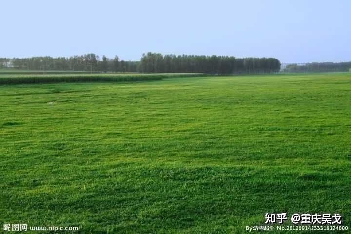 这个世界真的有龙的存在吗？976 / 作者:123321106 / 帖子ID:106108