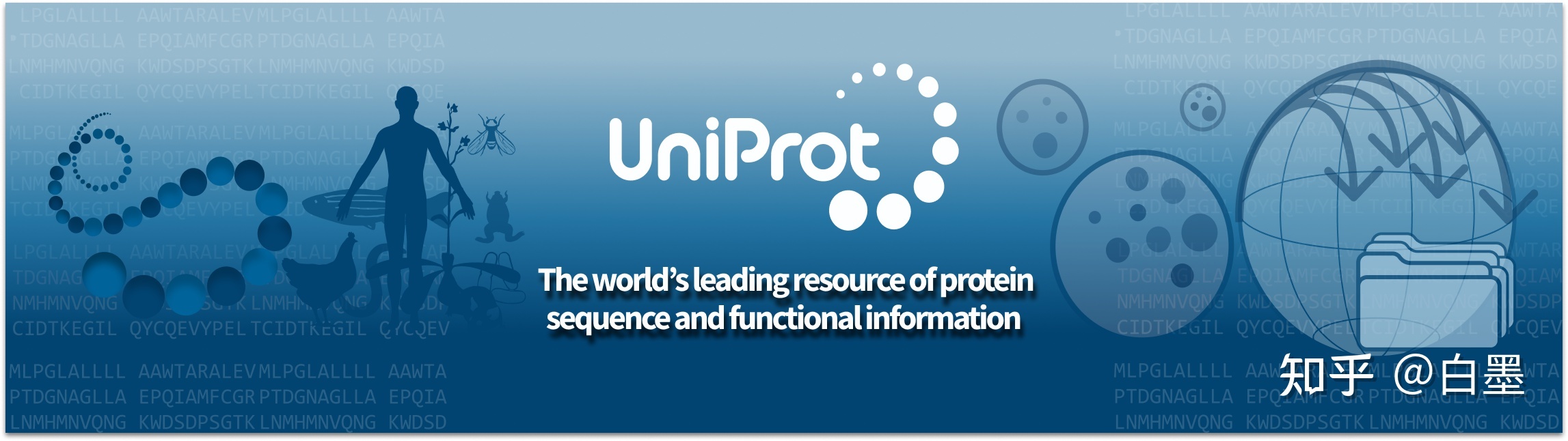 一文读懂 UniProt 数据库（2023最新版）674 / 作者:玉米人 / 帖子ID:106292