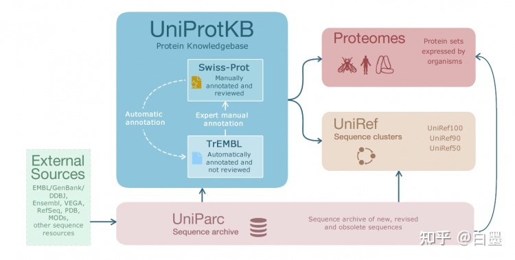 一文读懂 UniProt 数据库（2023最新版）763 / 作者:玉米人 / 帖子ID:106292