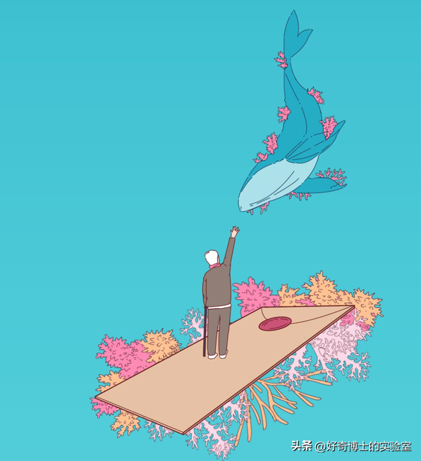 世界上最浪漫的死亡曝光：一鲸落，万物生42 / 作者:worrysorry2017 / 帖子ID:106472