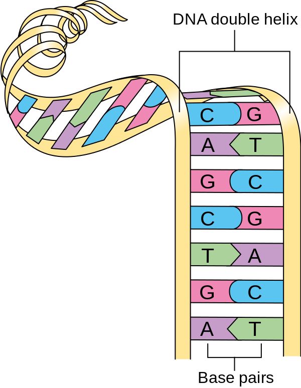 可以分析一下生物学和生物信息学吗?52 / 作者:miss_evaz / 帖子ID:106487
