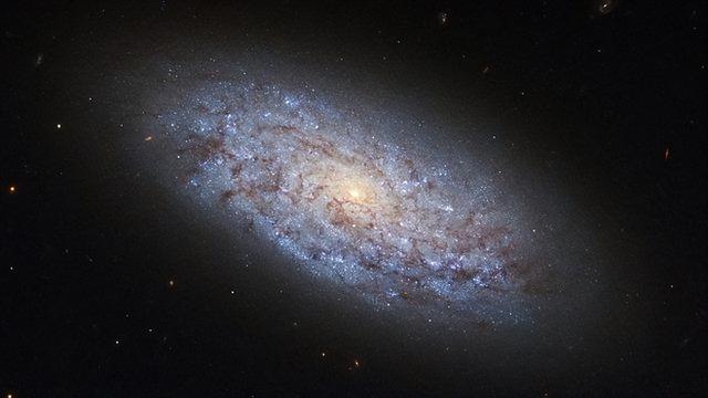 为什么人类无法发现外星人？列举科学界三大假说，怕被我们发现？492 / 作者:做我的仆人 / 帖子ID:106512