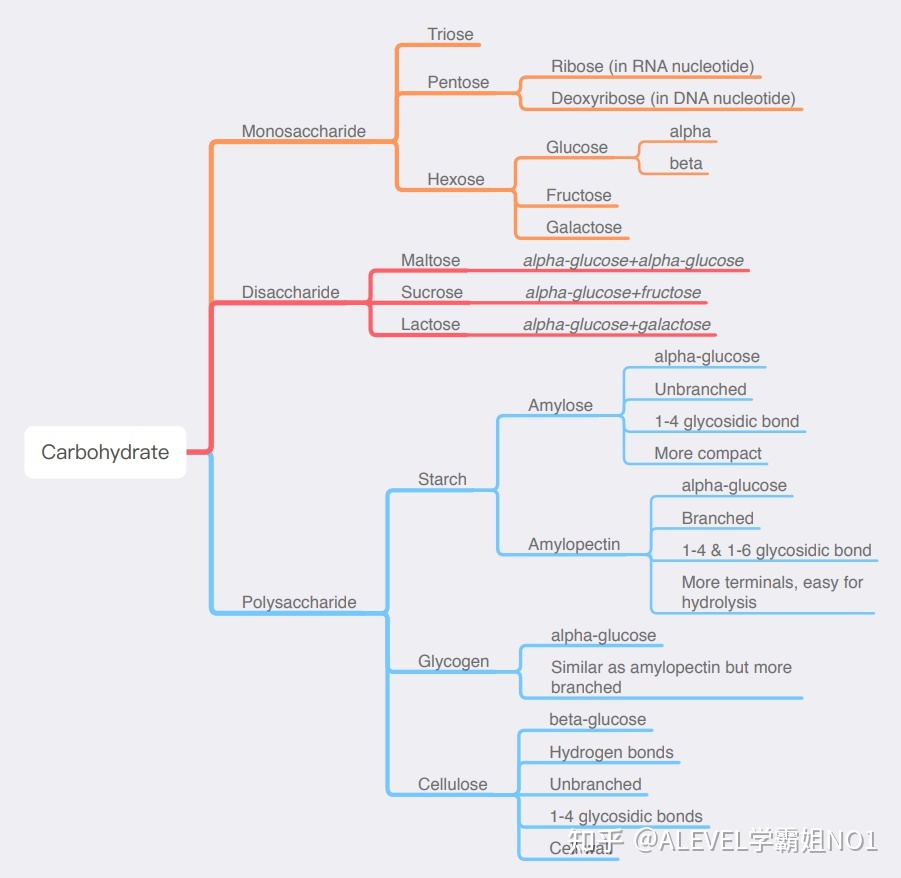 A-Level生物靠背？No！看完这篇A*就是你的！319 / 作者:邓尔岚 / 帖子ID:106570