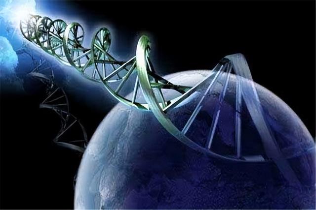 外星人一定是人吗？他们的生命形态或彻底颠覆人类的认知！980 / 作者:零度2017 / 帖子ID:106907