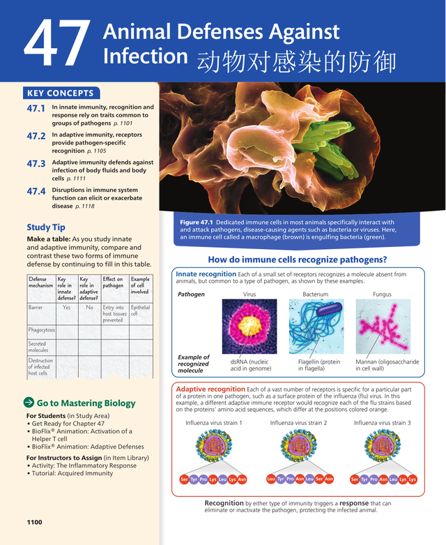 生物化学世界英语法语德语都比汉语容易得多235 / 作者:Guogangts / 帖子ID:106961