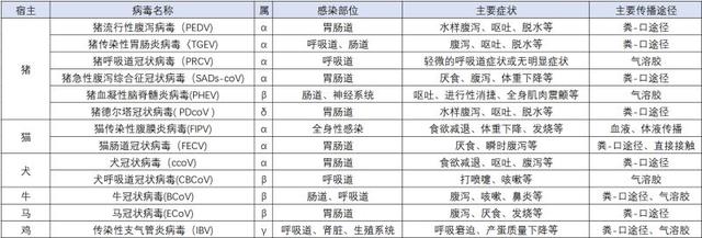 人与动物的共同“敌人”：“冠状病毒”是什么？363 / 作者:雷JY / 帖子ID:106971