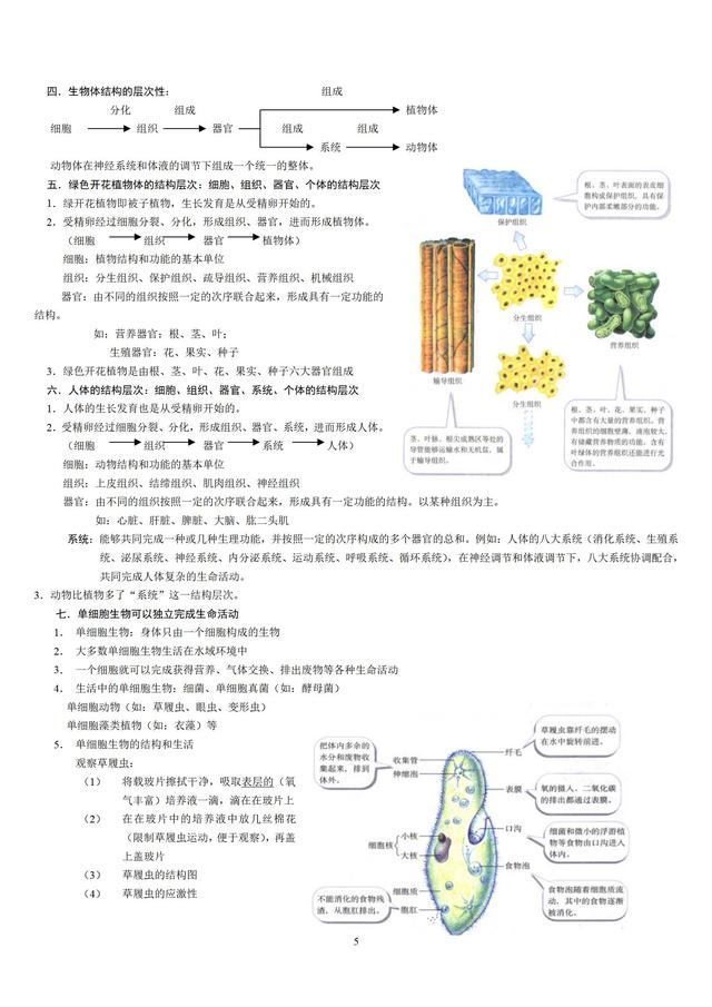 人教版初中生物知识点梳理(带图全)19 / 作者:版砖批发握 / 帖子ID:106972