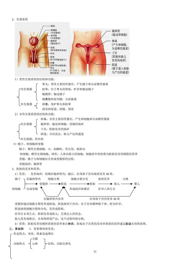 人教版初中生物知识点梳理(带图全)422 / 作者:版砖批发握 / 帖子ID:106972