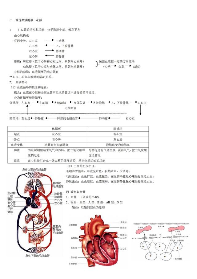 人教版初中生物知识点梳理(带图全)583 / 作者:版砖批发握 / 帖子ID:106972