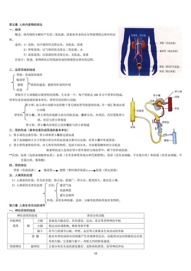 人教版初中生物知识点梳理(带图全)324 / 作者:版砖批发握 / 帖子ID:106972