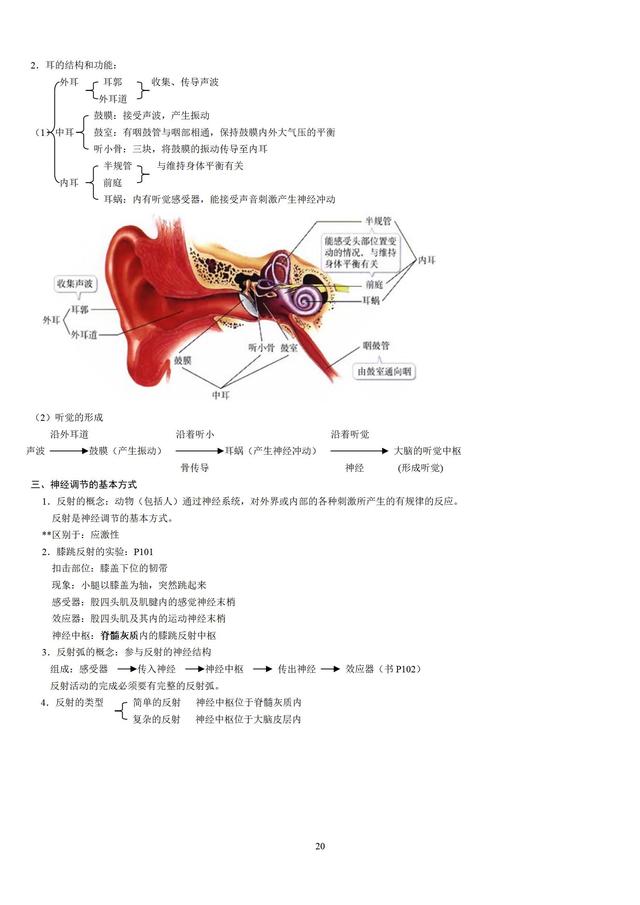 人教版初中生物知识点梳理(带图全)271 / 作者:版砖批发握 / 帖子ID:106972