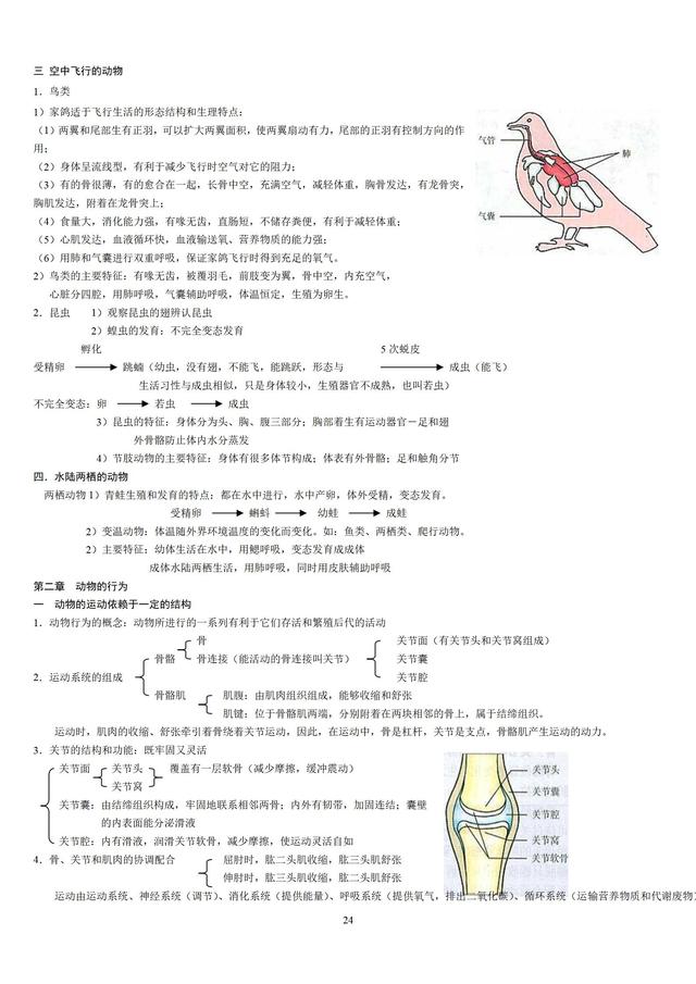 人教版初中生物知识点梳理(带图全)147 / 作者:版砖批发握 / 帖子ID:106972