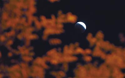 月全食遇见“月掩天王星”昨晚这场天文盛宴 你看见了没？858 / 作者:甜言疯语 / 帖子ID:107019