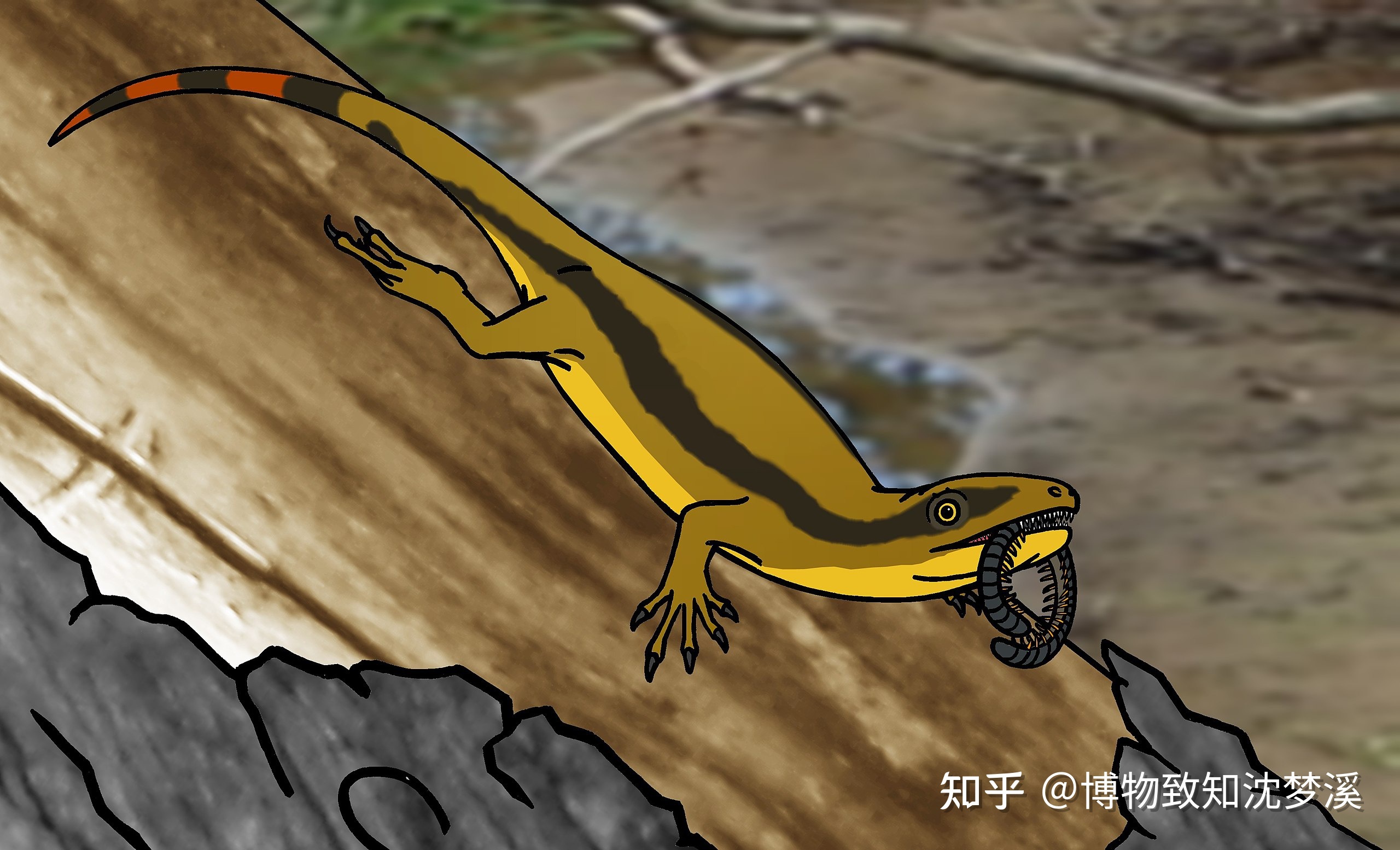 在地球的几十亿年历史上，发生过哪些全球级别的自然事件？664 / 作者:陈辞滥调 / 帖子ID:107076