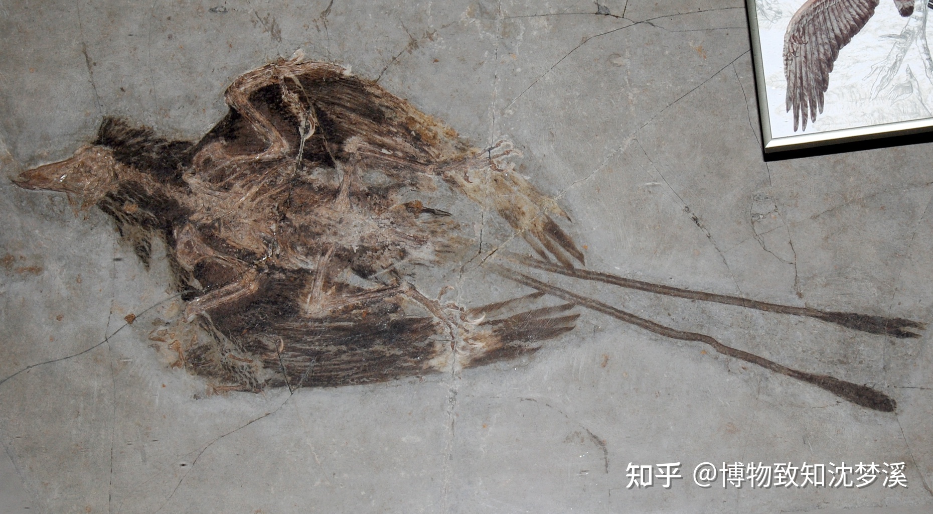 在地球的几十亿年历史上，发生过哪些全球级别的自然事件？284 / 作者:陈辞滥调 / 帖子ID:107076