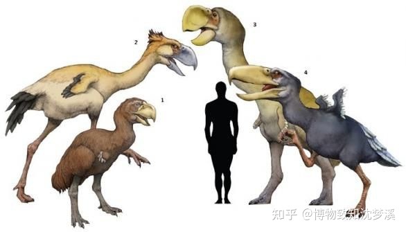 在地球的几十亿年历史上，发生过哪些全球级别的自然事件？995 / 作者:陈辞滥调 / 帖子ID:107076